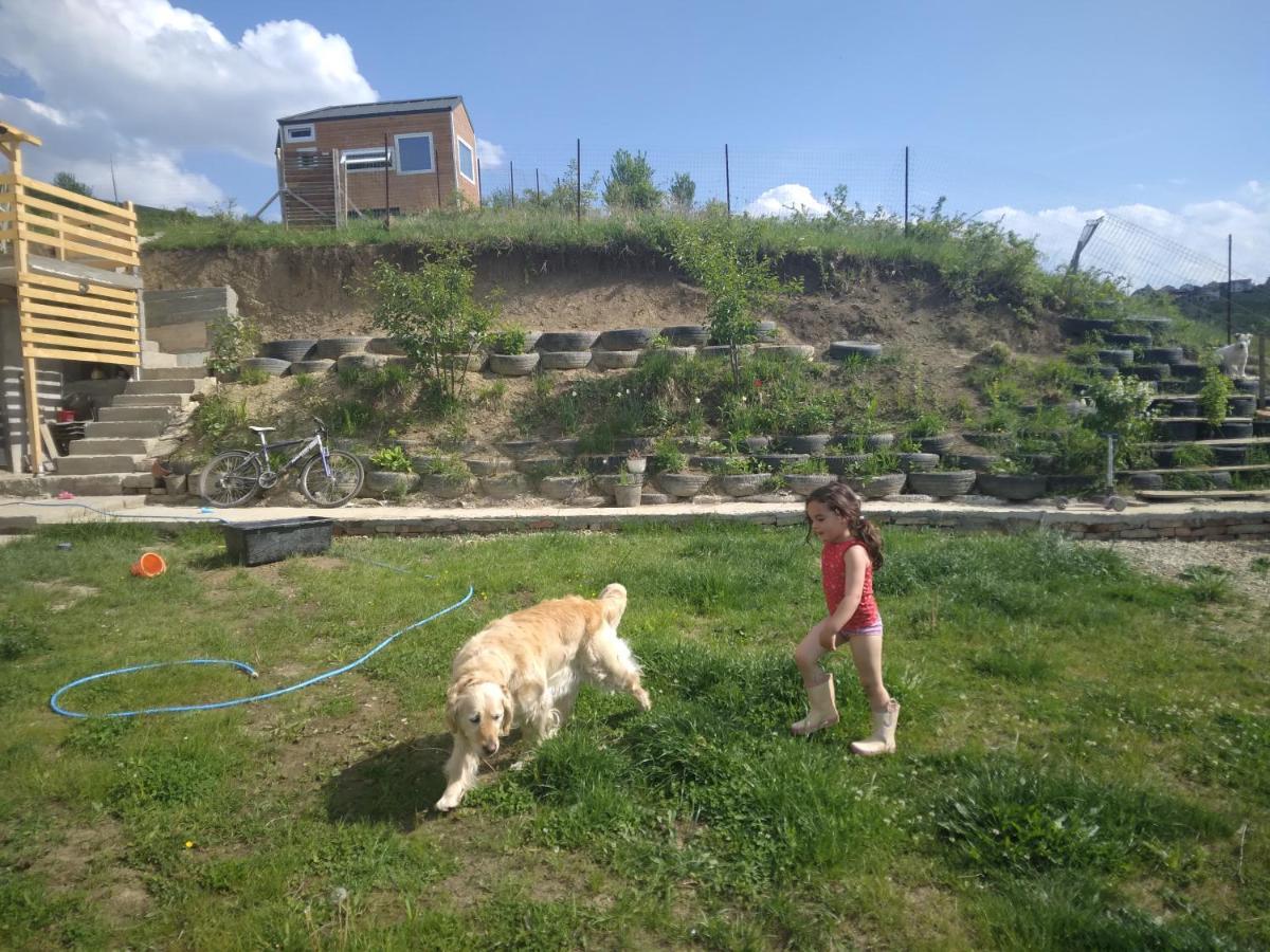 Tiny House Cluj With Jacuzzi Βίλα Sinnicoara Εξωτερικό φωτογραφία