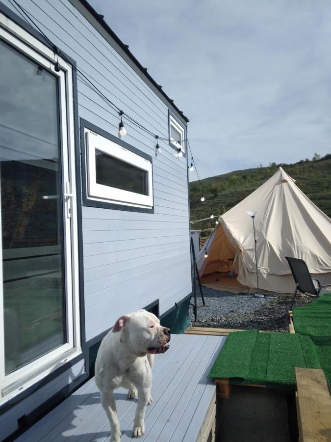 Tiny House Cluj With Jacuzzi Βίλα Sinnicoara Εξωτερικό φωτογραφία
